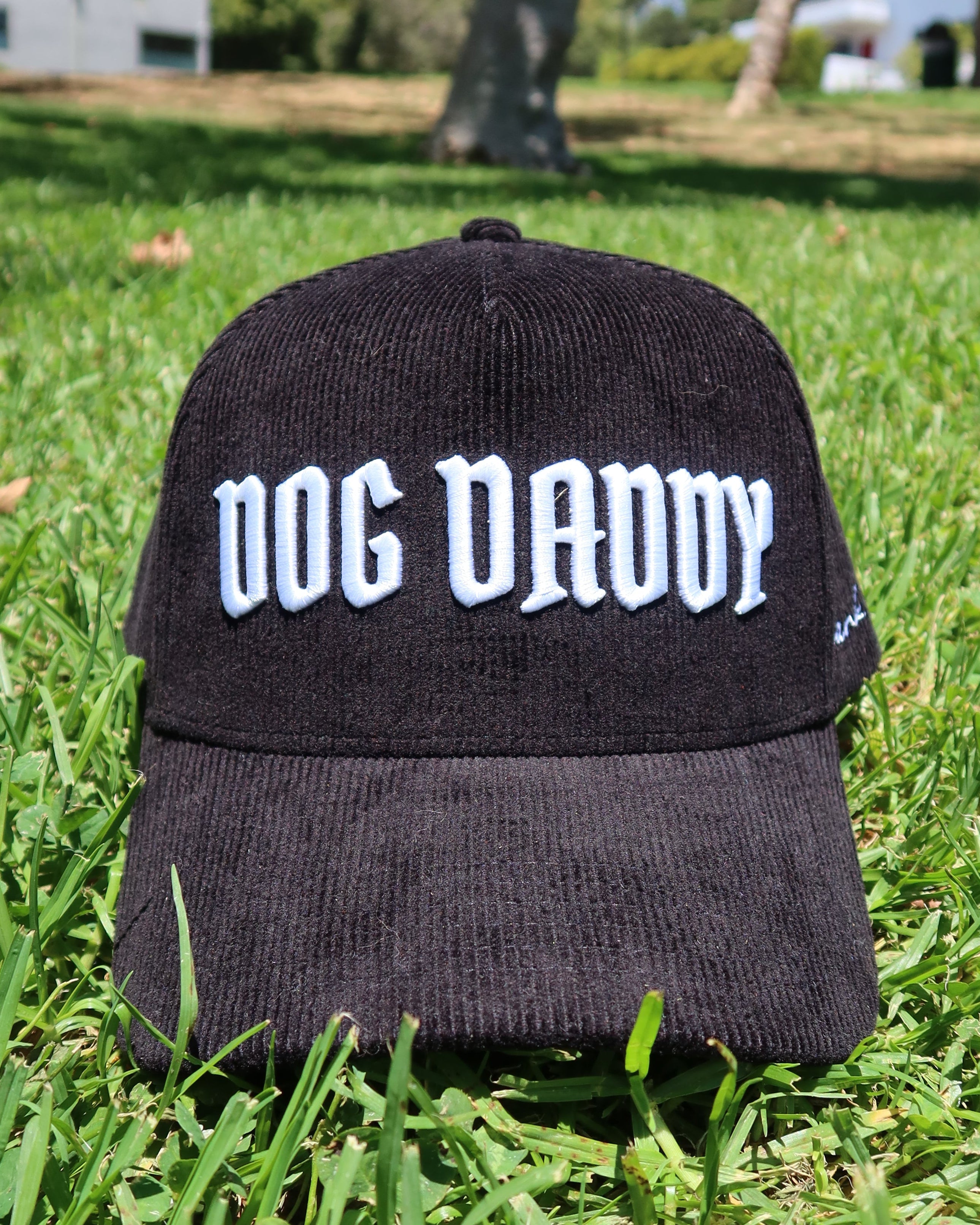 DOG DADDY
