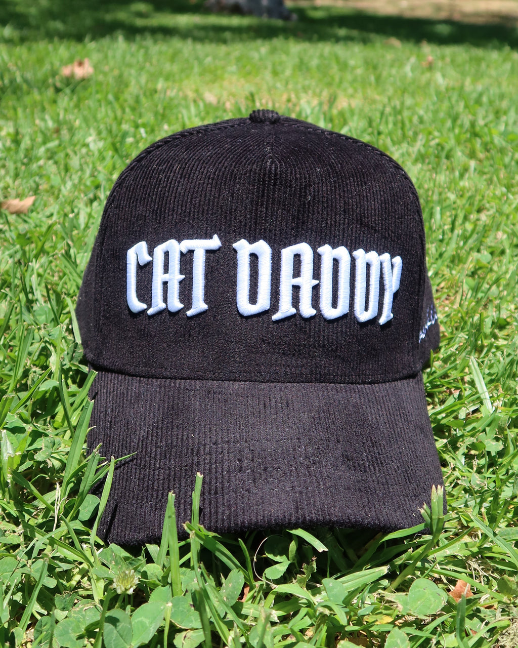 CAT DADDY