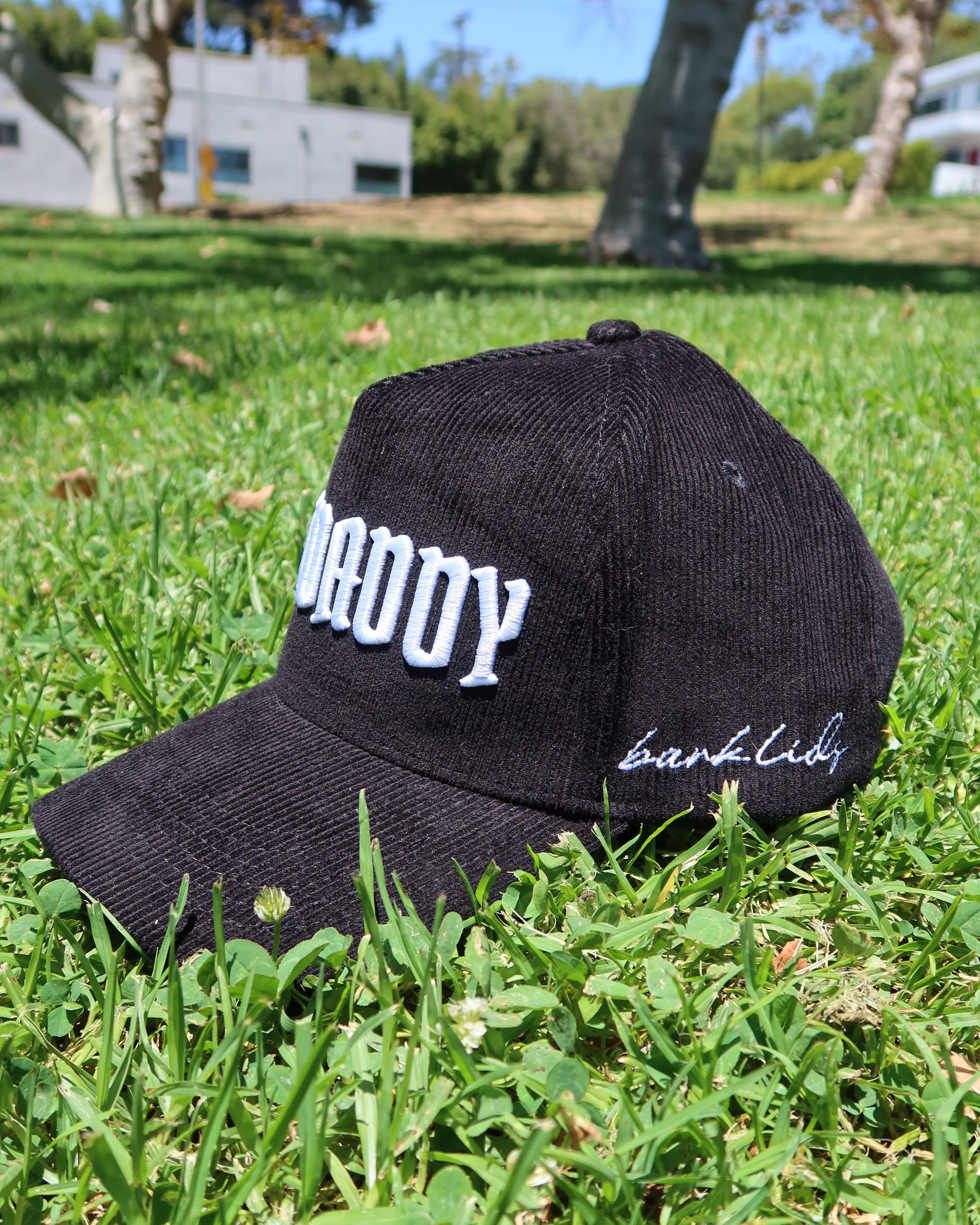 CAT DADDY