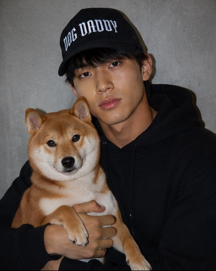 DOG DADDY